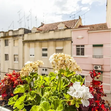 Appartement Calado *